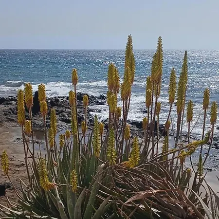 Mar&sun Casa Florida Hébergement de vacances Puerto del Carmen (Lanzarote)